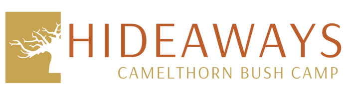 camelthorn bush camp Logo