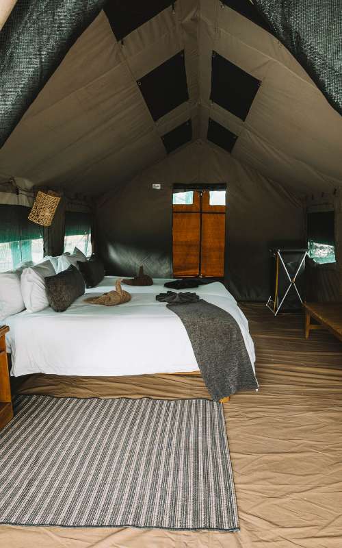 Camelthorn Bush Camp