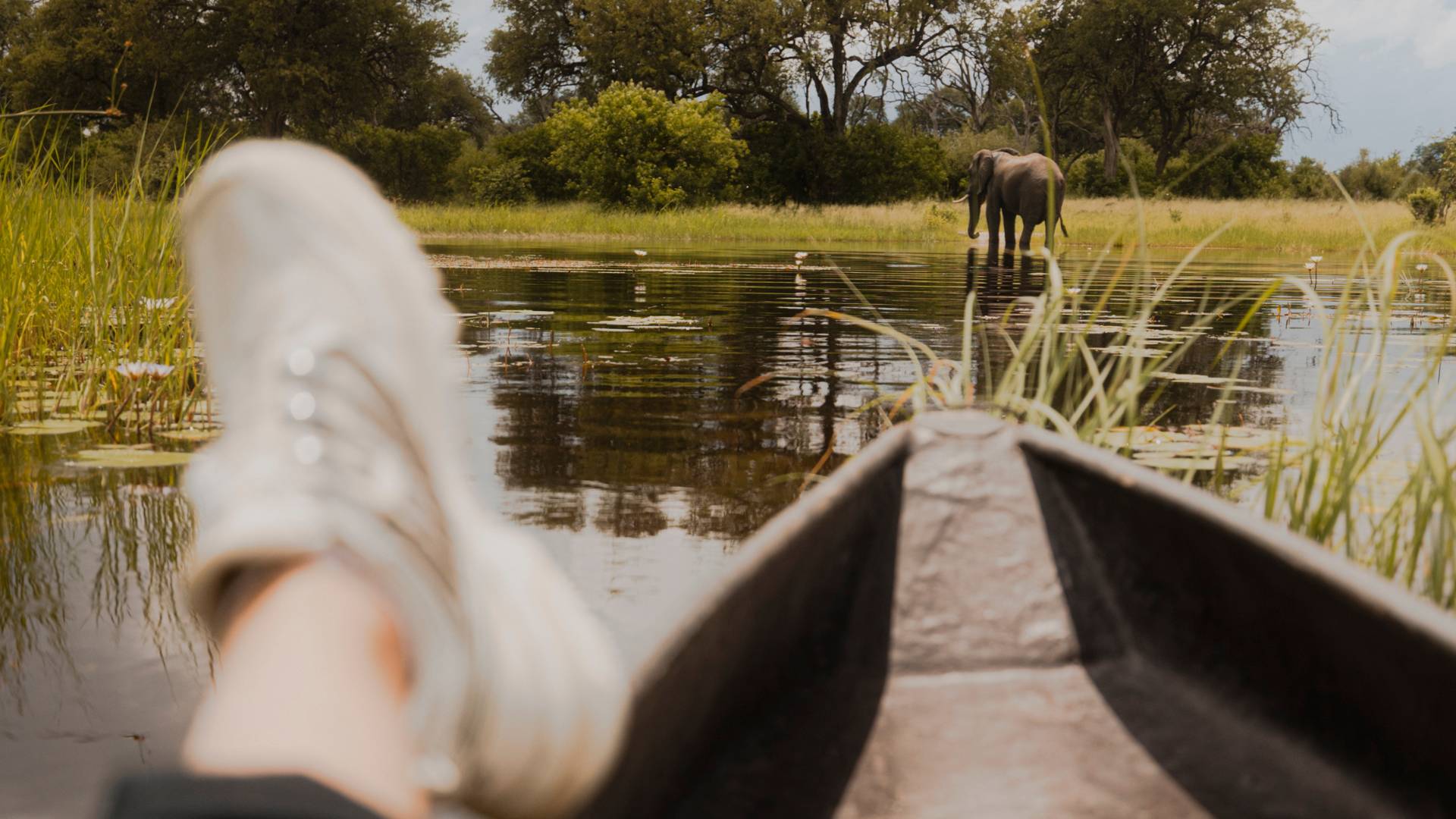 Camelthorn Bush Camp, Mokoro Experience